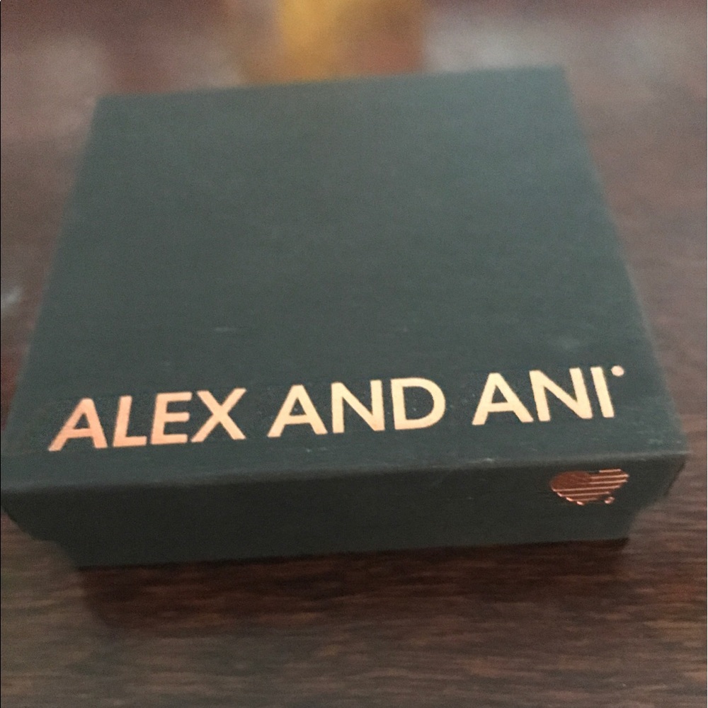 Alex and Ani bracelet