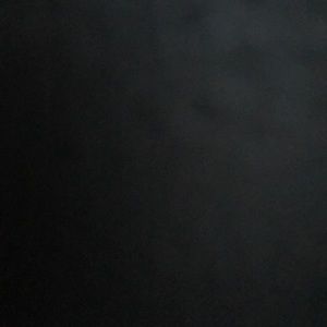 Meet your Posher, Bertha