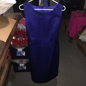 Tamara shift dress in cobalt blue.