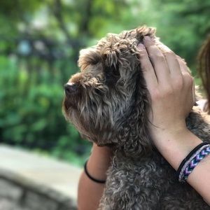 Meet your Posher, Kylie