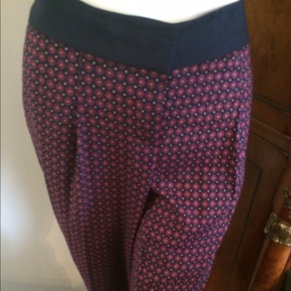 Ann Taylor Pants--Size 8P