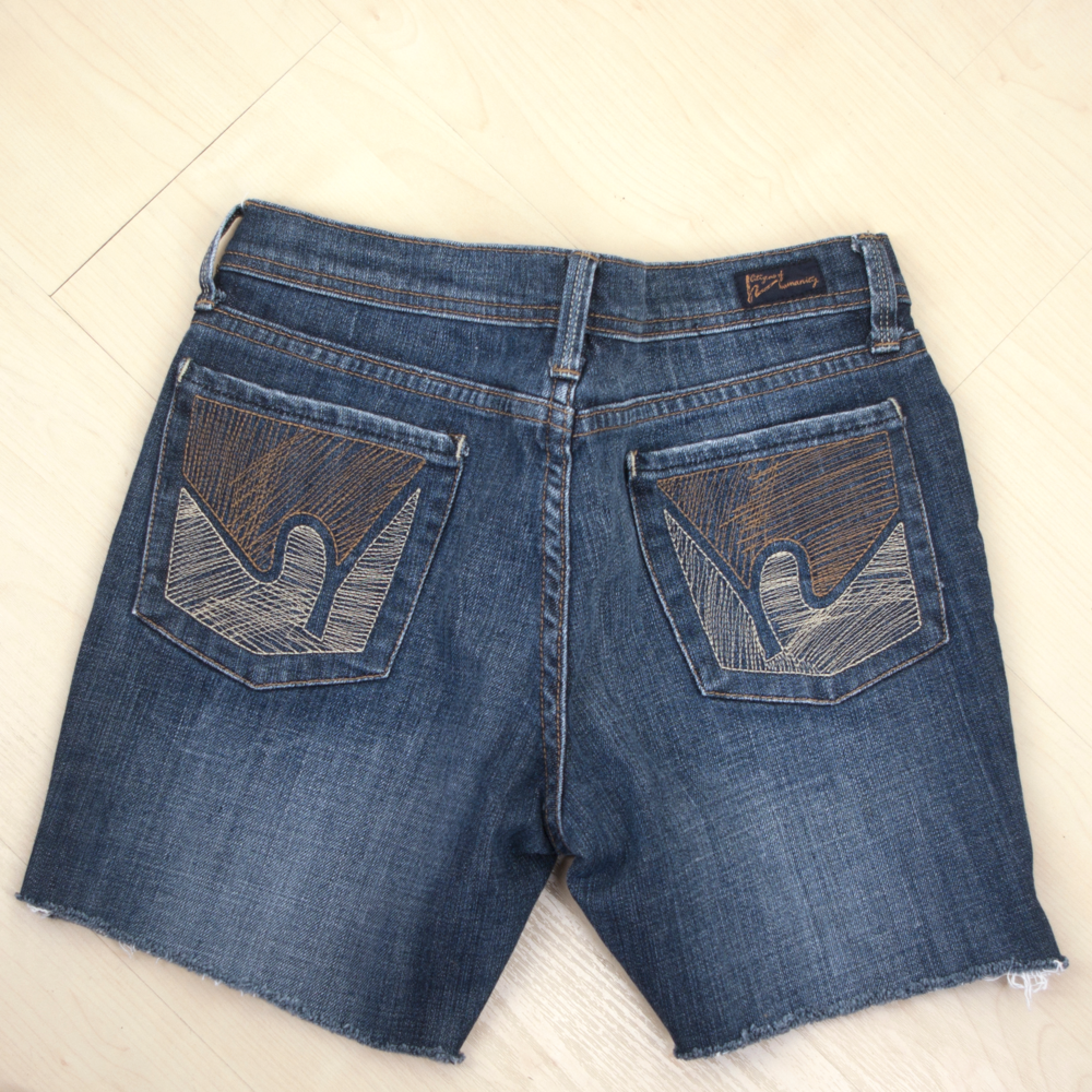 CITIZENS of HUMANITY denim embroidered dove shorts