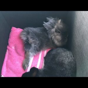 Meet your Posher, Taylor