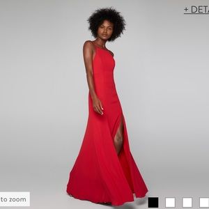 Fame and Partners floor length dress