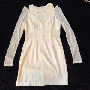 LUSH White Mesh Dress NWOT Long Sleeve NORDSTROM‼️