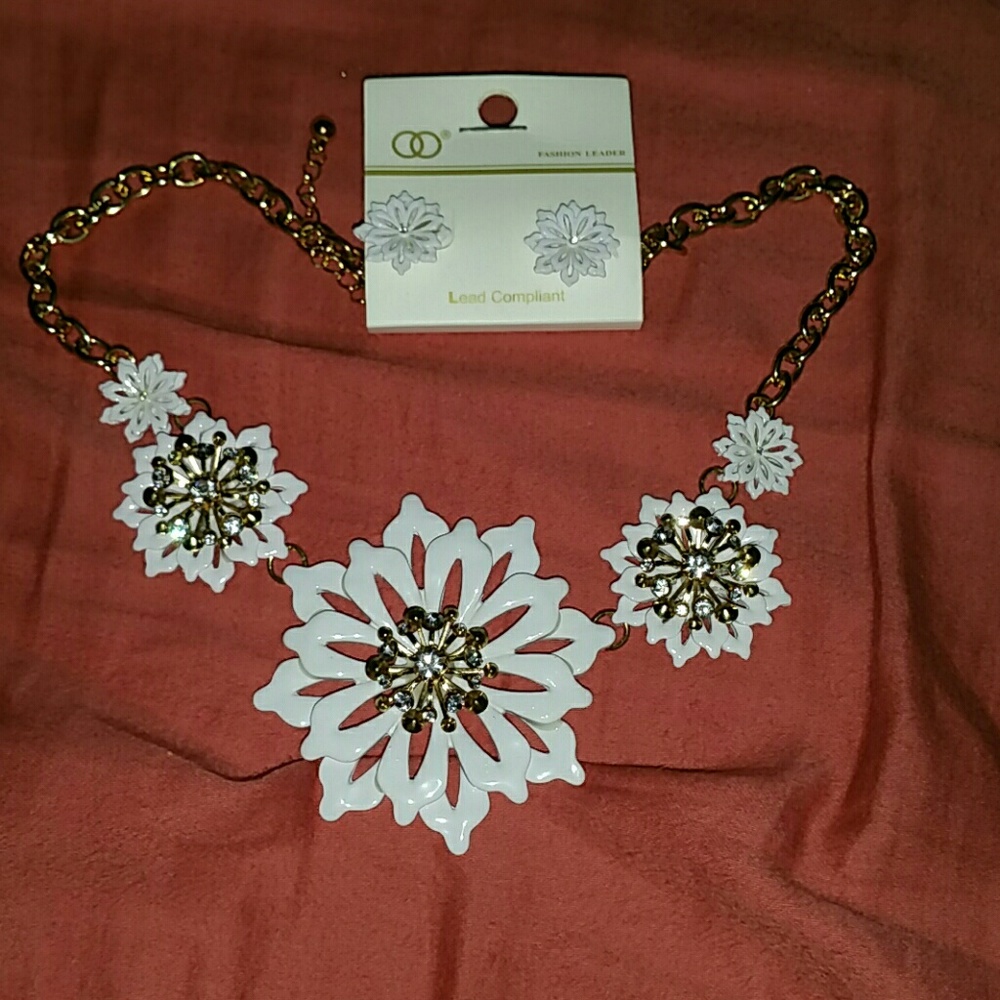 Necklace and Earring set!