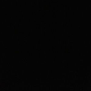 Meet your Posher, Demetrius