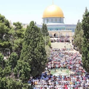 Meet your Posher, Wafa