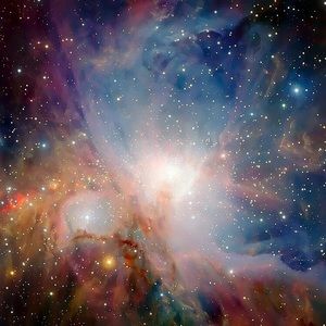 Meet your Posher, Kevin