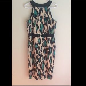 💕HP 💕David Meister Cocktail Dress