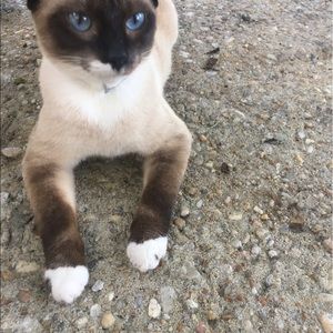 Meet your Posher, Aja