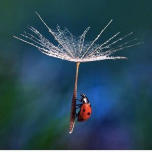 Meet your Posher, Jaime