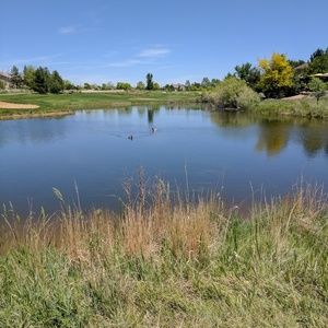 Meet your Posher, Damien