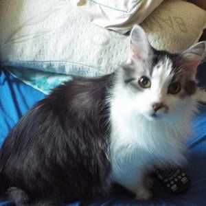 Meet your Posher, Tracy