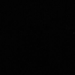 Meet your Posher, Daniela