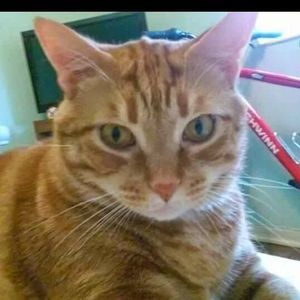 Meet your Posher, Sheila