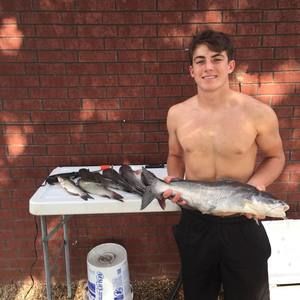 Meet your Posher, Ashton