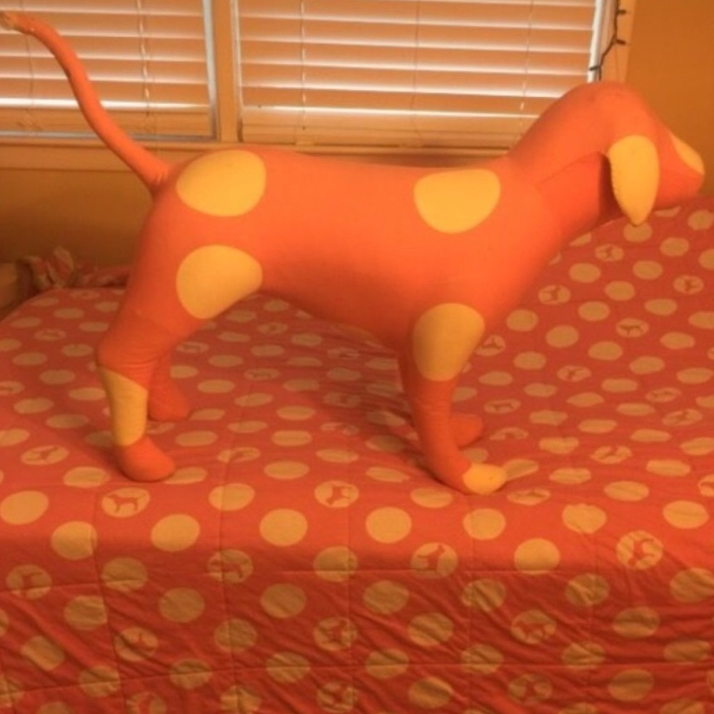 Vs display dog