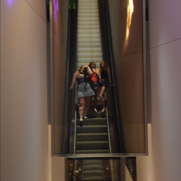 Meet your Posher, Cat - Picture 1 of 1