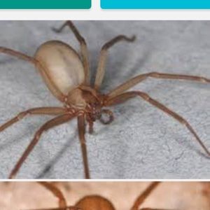 Meet your Posher, Christa