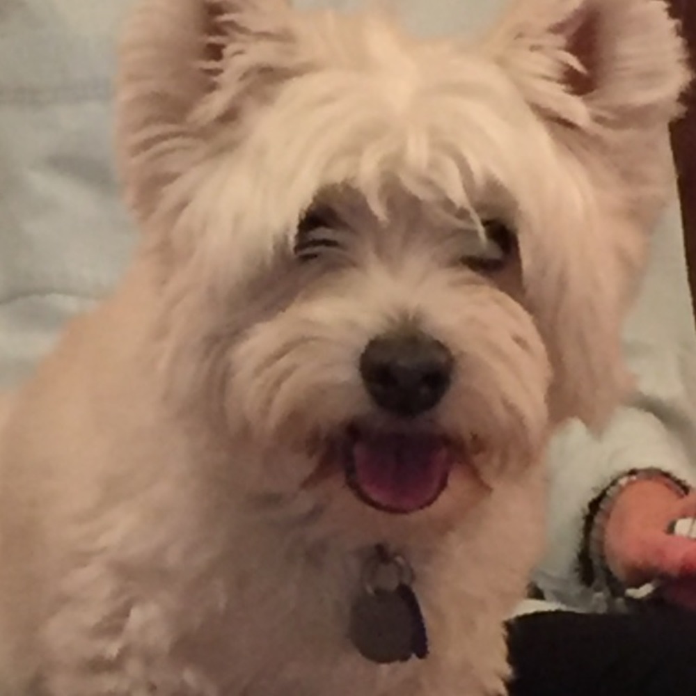 Meet your Posher, Stacy