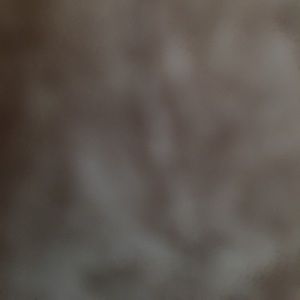 Meet your Posher, Mari