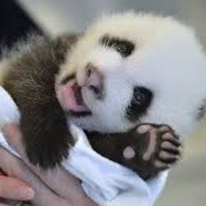 Meet your Posher, Symone