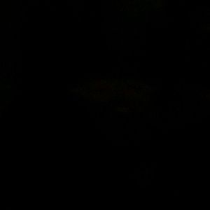 Meet your Posher, Richard