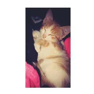 Meet your Posher, Cristina