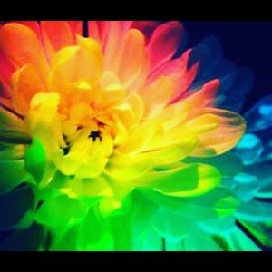 Meet your Posher, Skyler