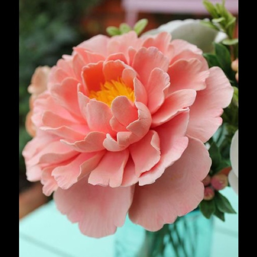 Meet your Posher, Tara