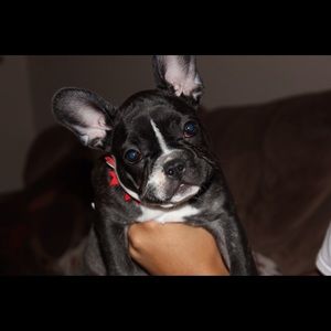 Meet your Posher, Olivia