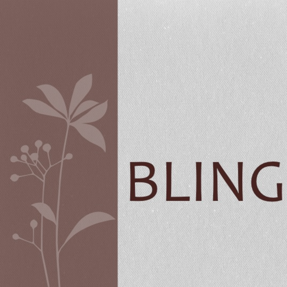 JEWELRY & BLING