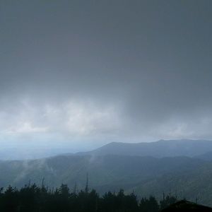 Meet your Posher, Kristy