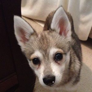 Meet your Posher, Nathan