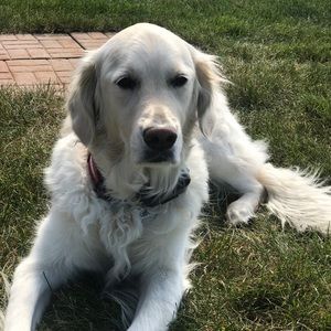 Meet your Posher, Julie