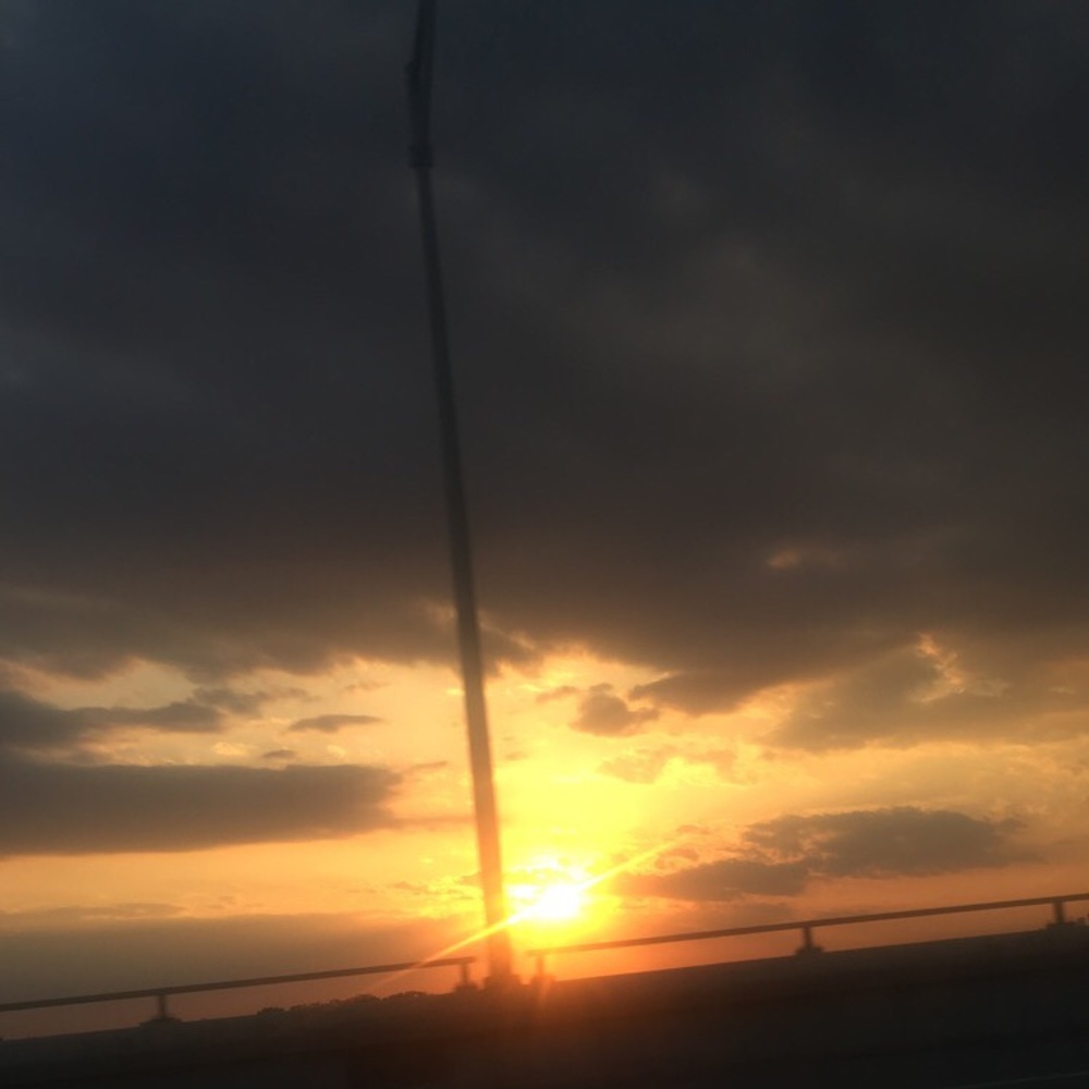 Meet your Posher, Sofia