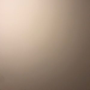 Meet your Posher, Jake