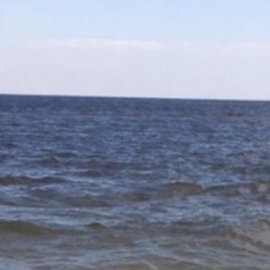 Meet your Posher, Molly