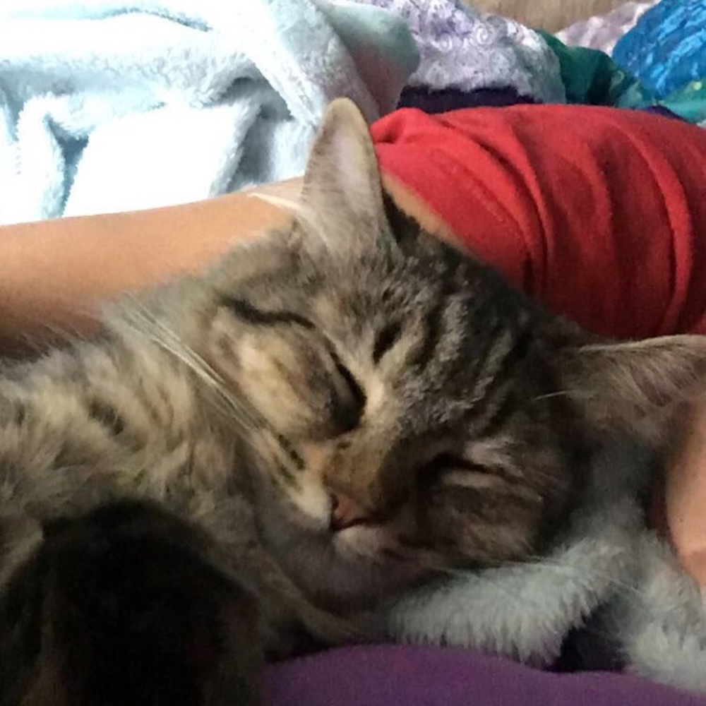 Meet your Posher, Alyssa