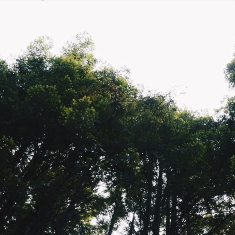 Meet your Posher, Lanie