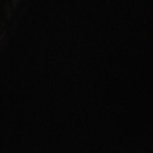 Meet your Posher, Deandrea