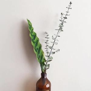 Meet your Posher, Sohyeong