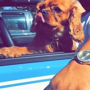 Meet your Posher, Mark