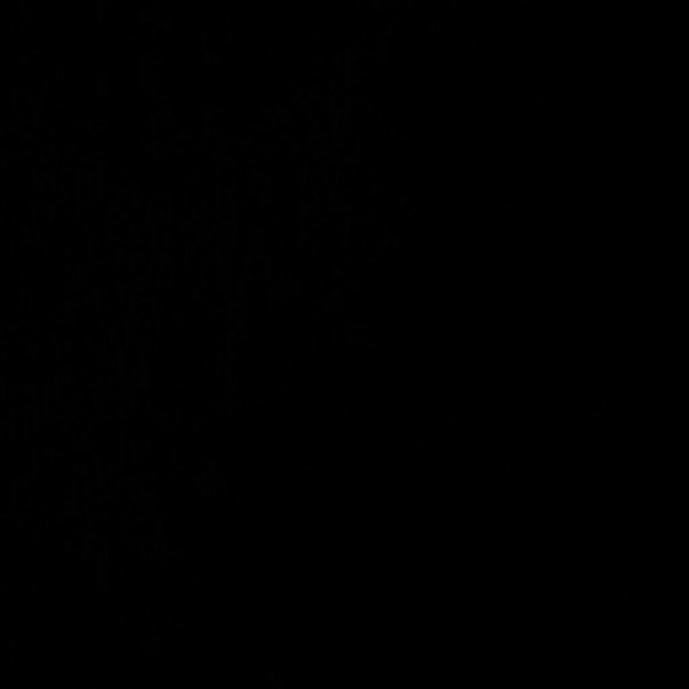 Meet your Posher, Adriana