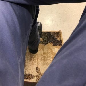 Meet your Posher, Dwaine