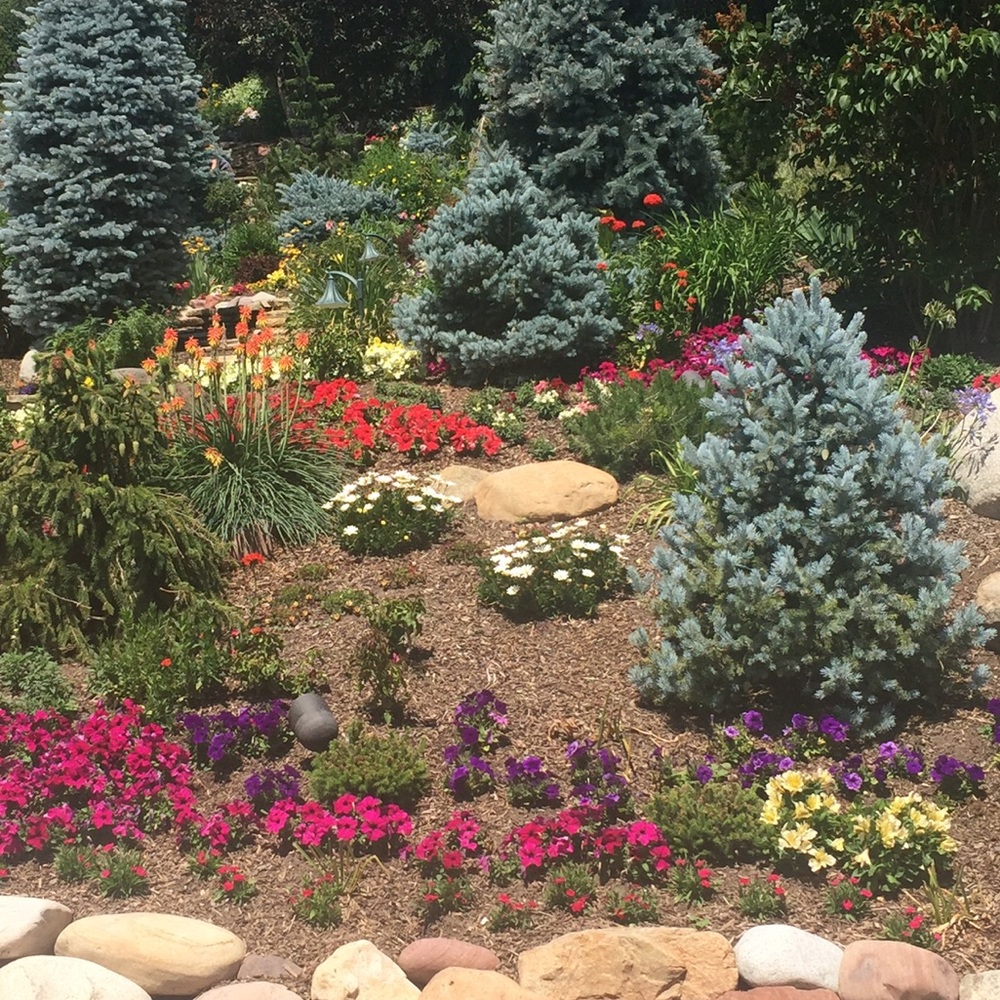 Meet your Posher, Molly