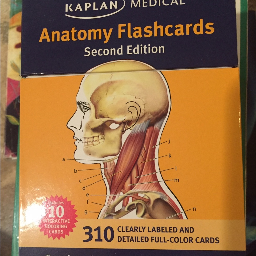Anatomy and physiology flashcards