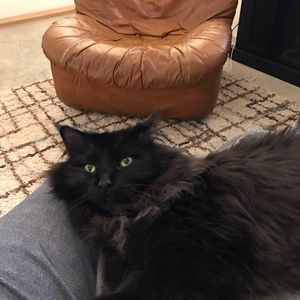 Meet your Posher, Nicky