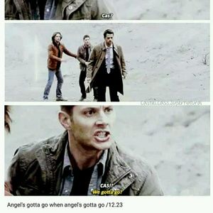 Meet your Posher, Paige